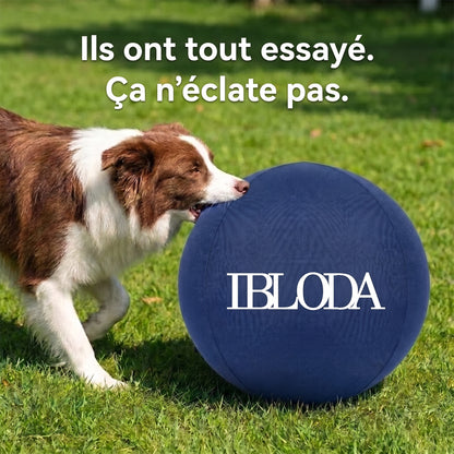 Enfin Un Chien Apaisé - Ballon de Troupeau