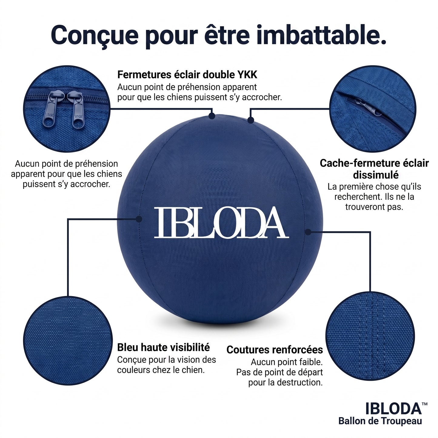Enfin Un Chien Apaisé - Ballon de Troupeau
