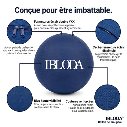 Enfin Un Chien Apaisé - Ballon de Troupeau