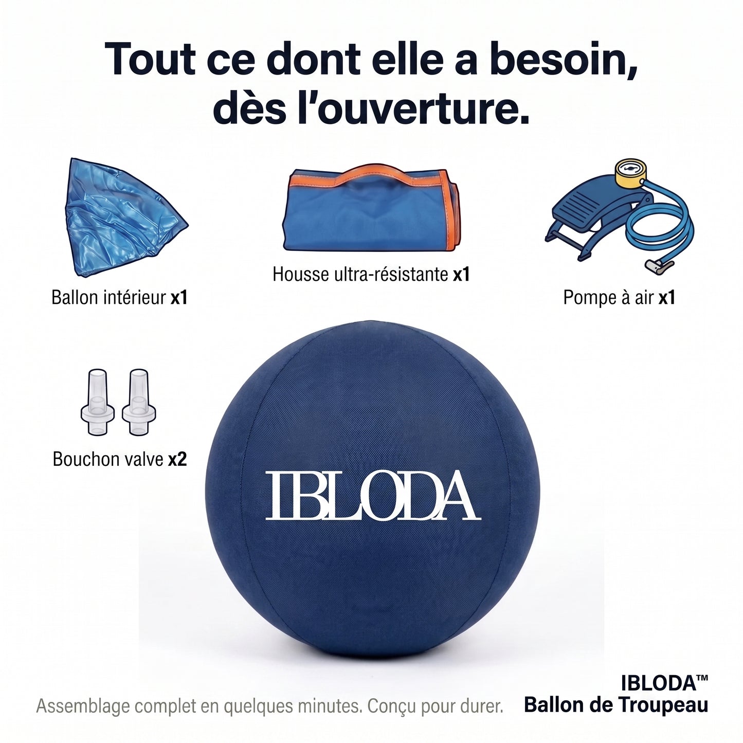Enfin Un Chien Apaisé - Ballon de Troupeau