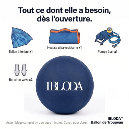 Enfin Un Chien Apaisé - Ballon de Troupeau