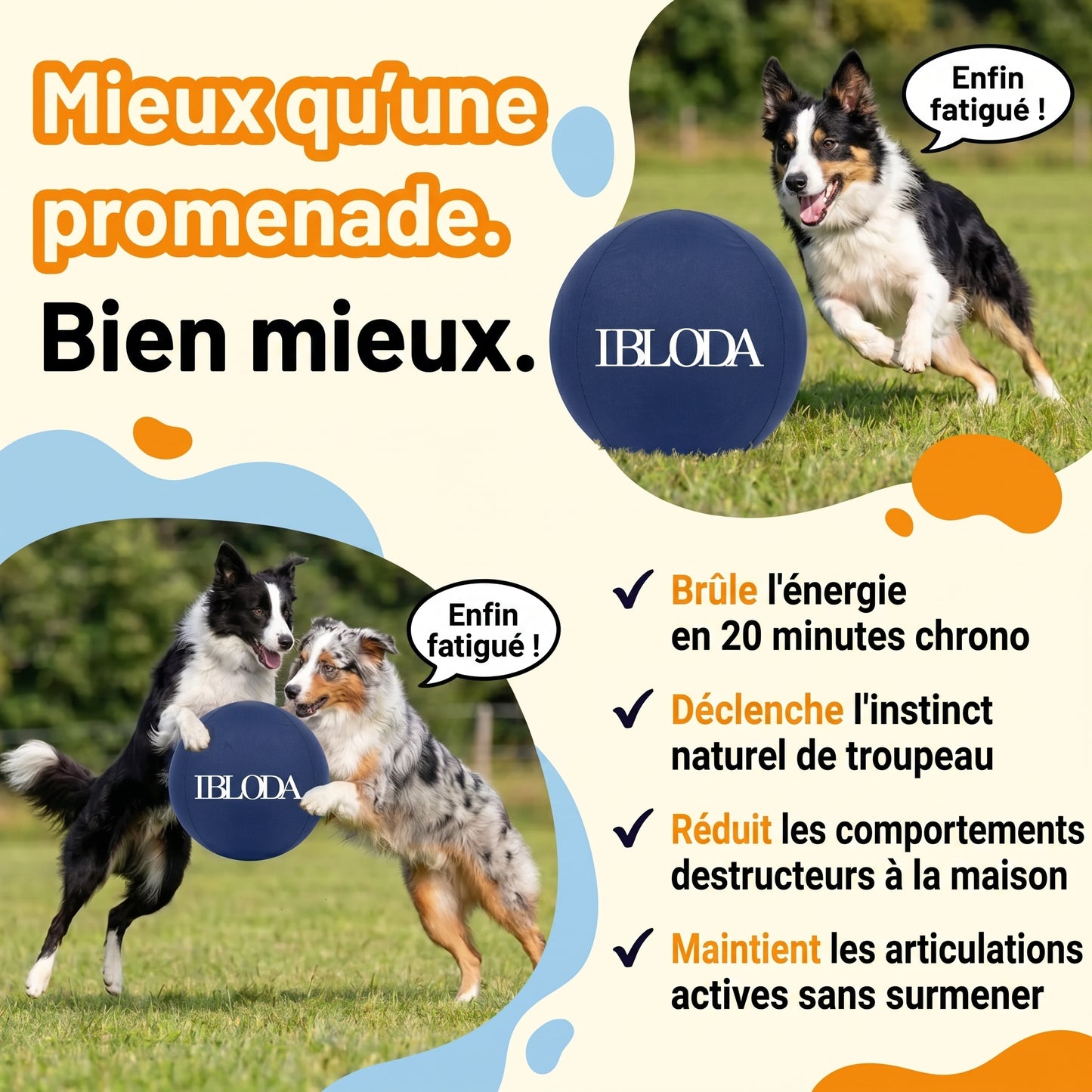 Enfin Un Chien Apaisé - Ballon de Troupeau