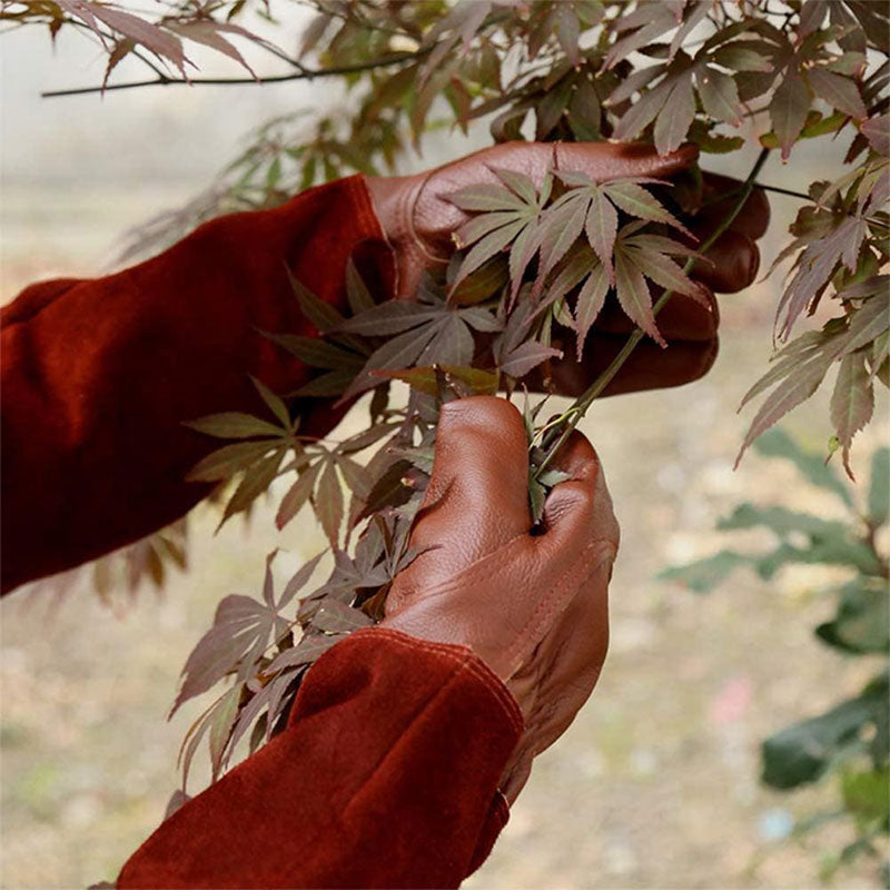 Gardening Gloves with Reinforced Palm and Textured Fingertips, Elastic Wristband