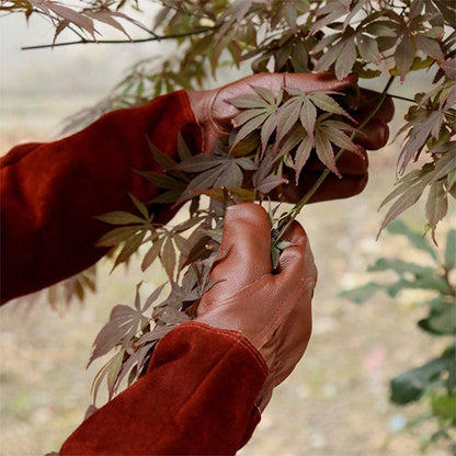 Gardening Gloves with Reinforced Palm and Textured Fingertips, Elastic Wristband