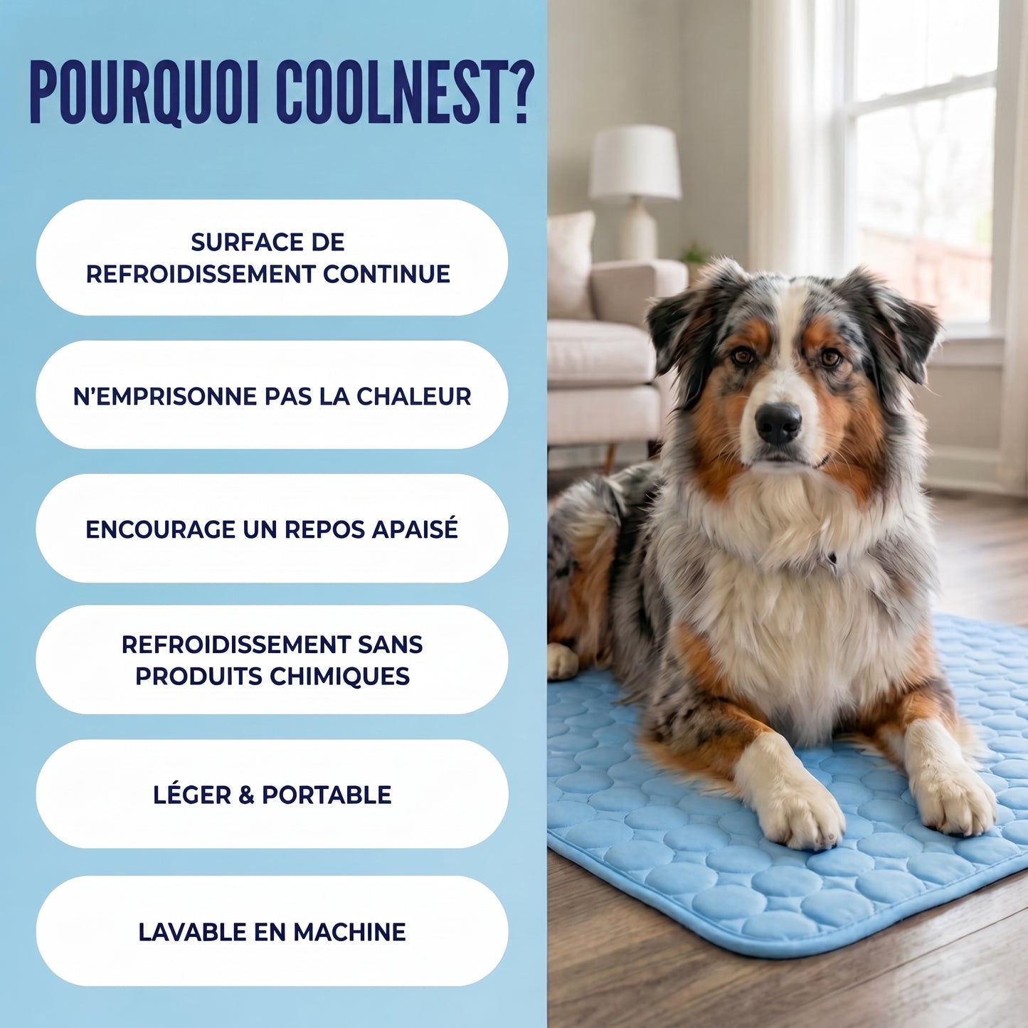 Le tapis qui garde votre chien au frais toute la journée