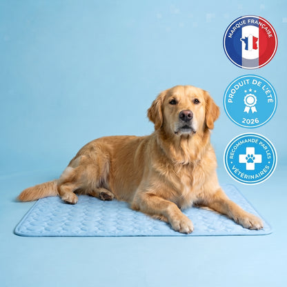 Le tapis qui garde votre chien au frais toute la journée