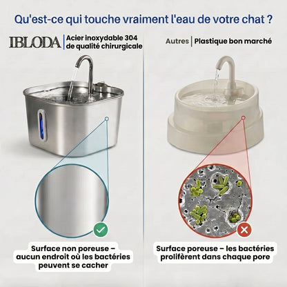 Fontaine à eau pour chat