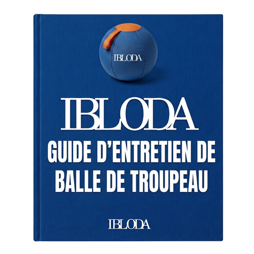 Guide d'entretien
