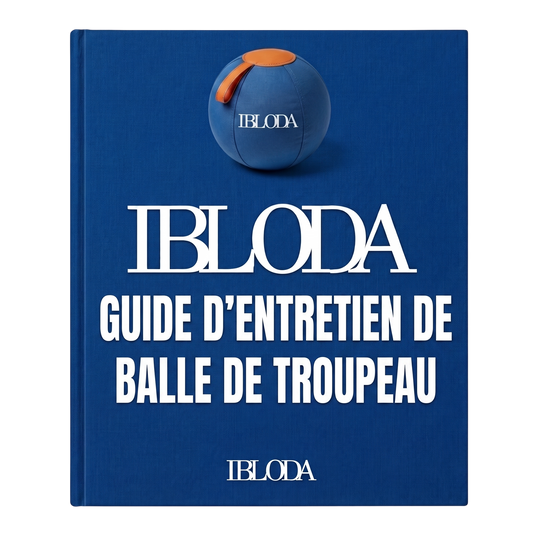 Guide d'entretien