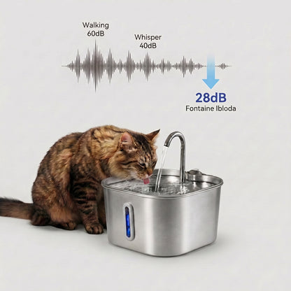 Fontaine à eau pour chat