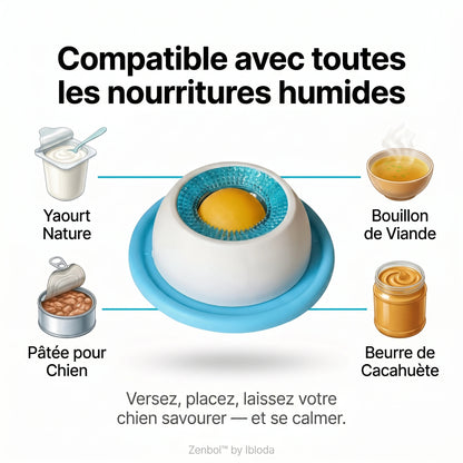 Le repas qui apaise votre chien et vous libère enfin