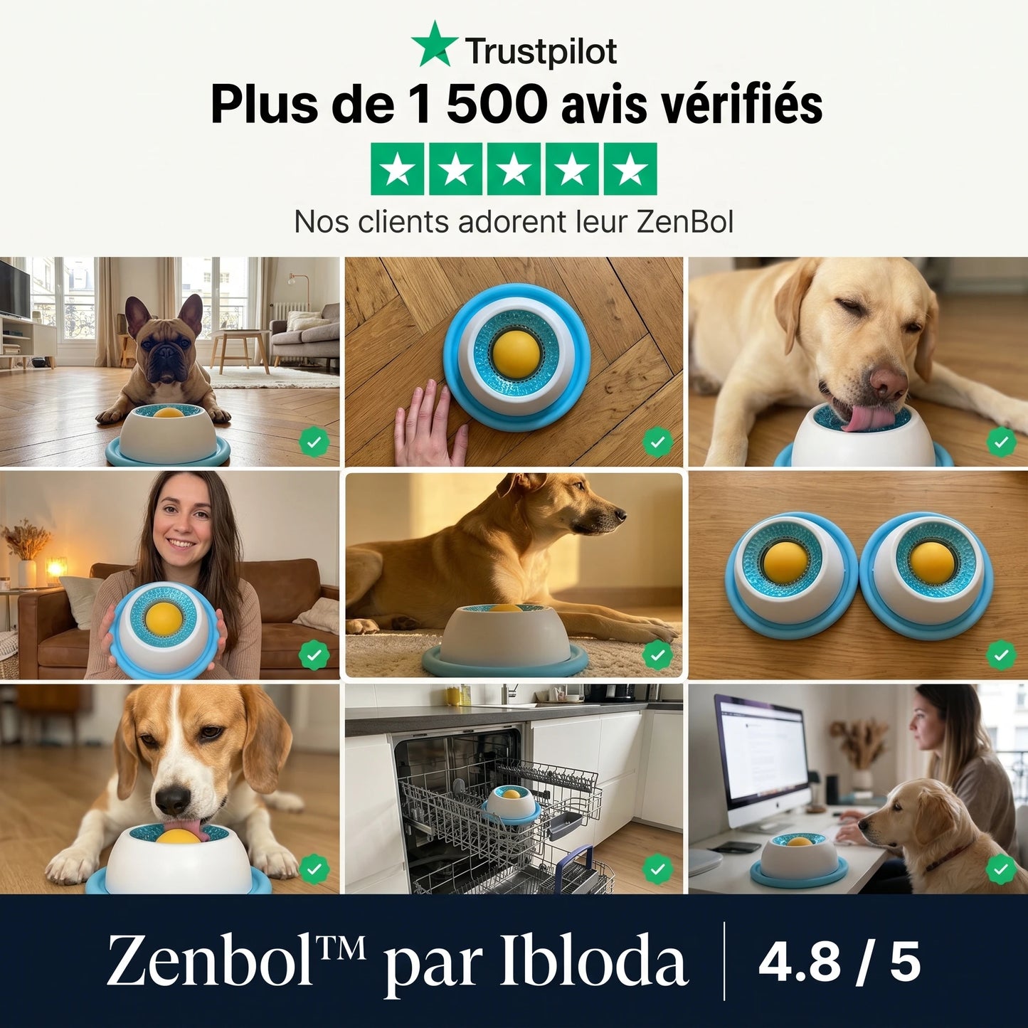 Le repas qui apaise votre chien et vous libère enfin