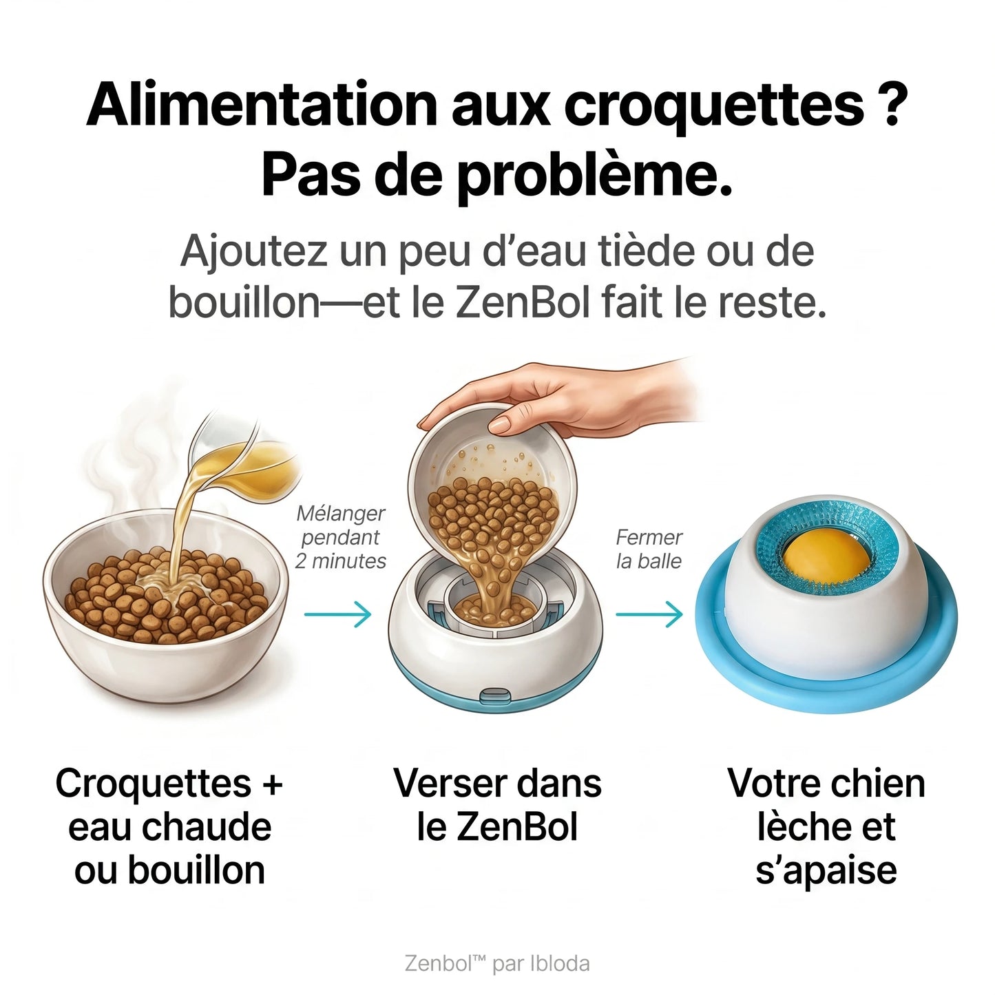 Le repas qui apaise votre chien et vous libère enfin