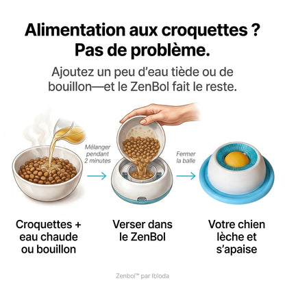 Le repas qui apaise votre chien et vous libère enfin