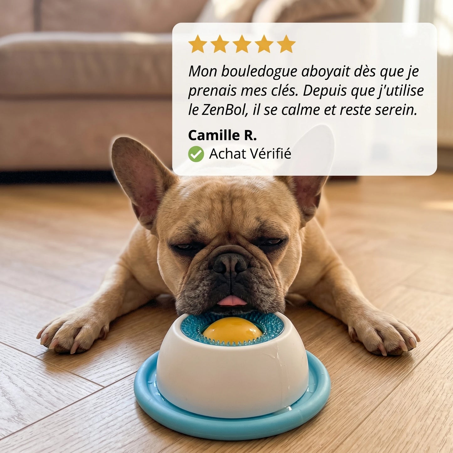 Le repas qui apaise votre chien et vous libère enfin