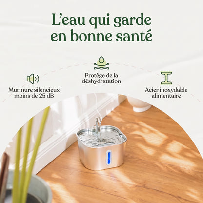 Fontaine à eau pour chat - Kit complet