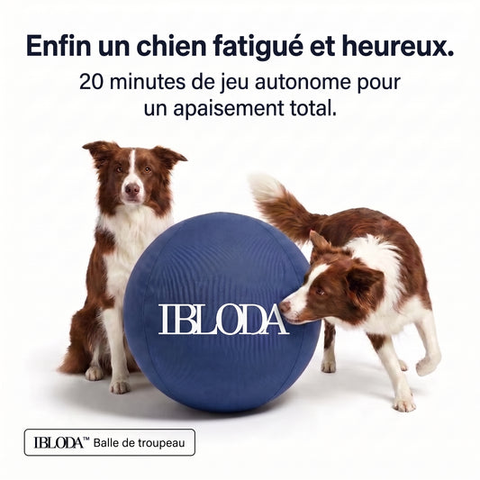 Enfin Un Chien Apaisé - Ballon de Troupeau
