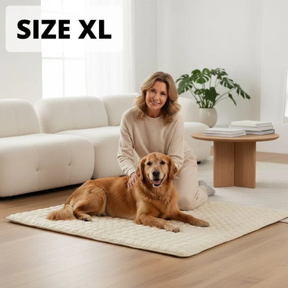 Le tapis qui garde votre chien au frais toute la journée