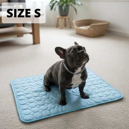 Le tapis qui garde votre chien au frais toute la journée