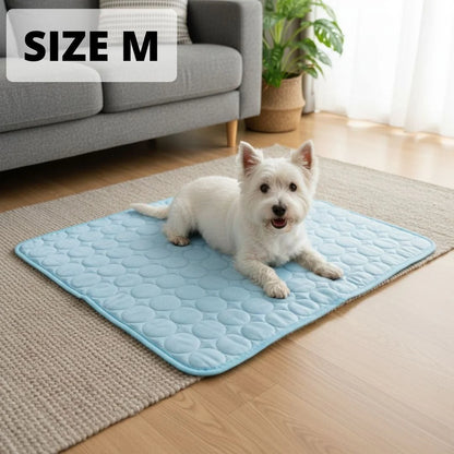 Le tapis qui garde votre chien au frais toute la journée