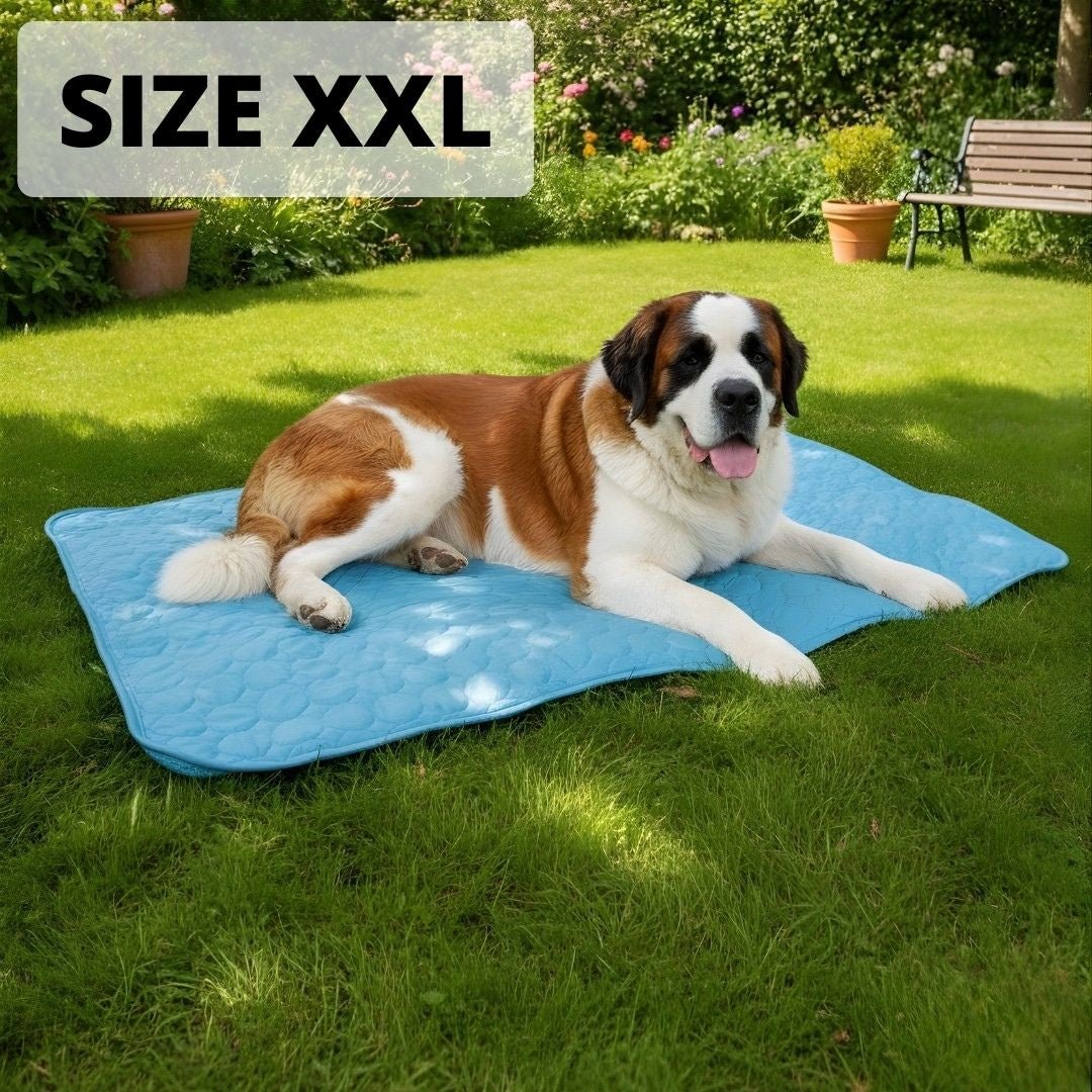 Le tapis qui garde votre chien au frais toute la journée