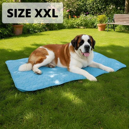 Le tapis qui garde votre chien au frais toute la journée