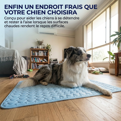 Le tapis qui reste frais - même après des heures sous votre chien.