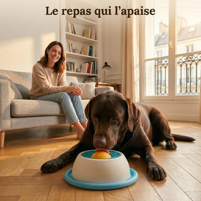 Le repas qui apaise votre chien et vous libère enfin