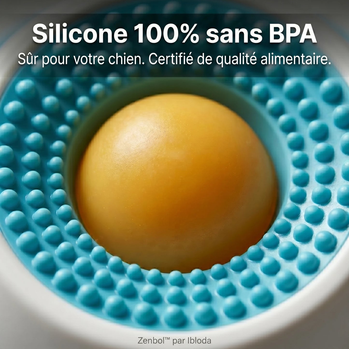 Le repas qui apaise votre chien et vous libère enfin