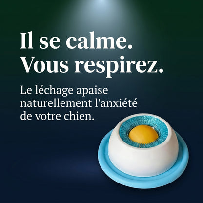 Le repas qui apaise votre chien et vous libère enfin
