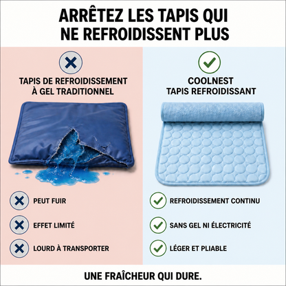 Le tapis qui garde votre chien au frais toute la journée