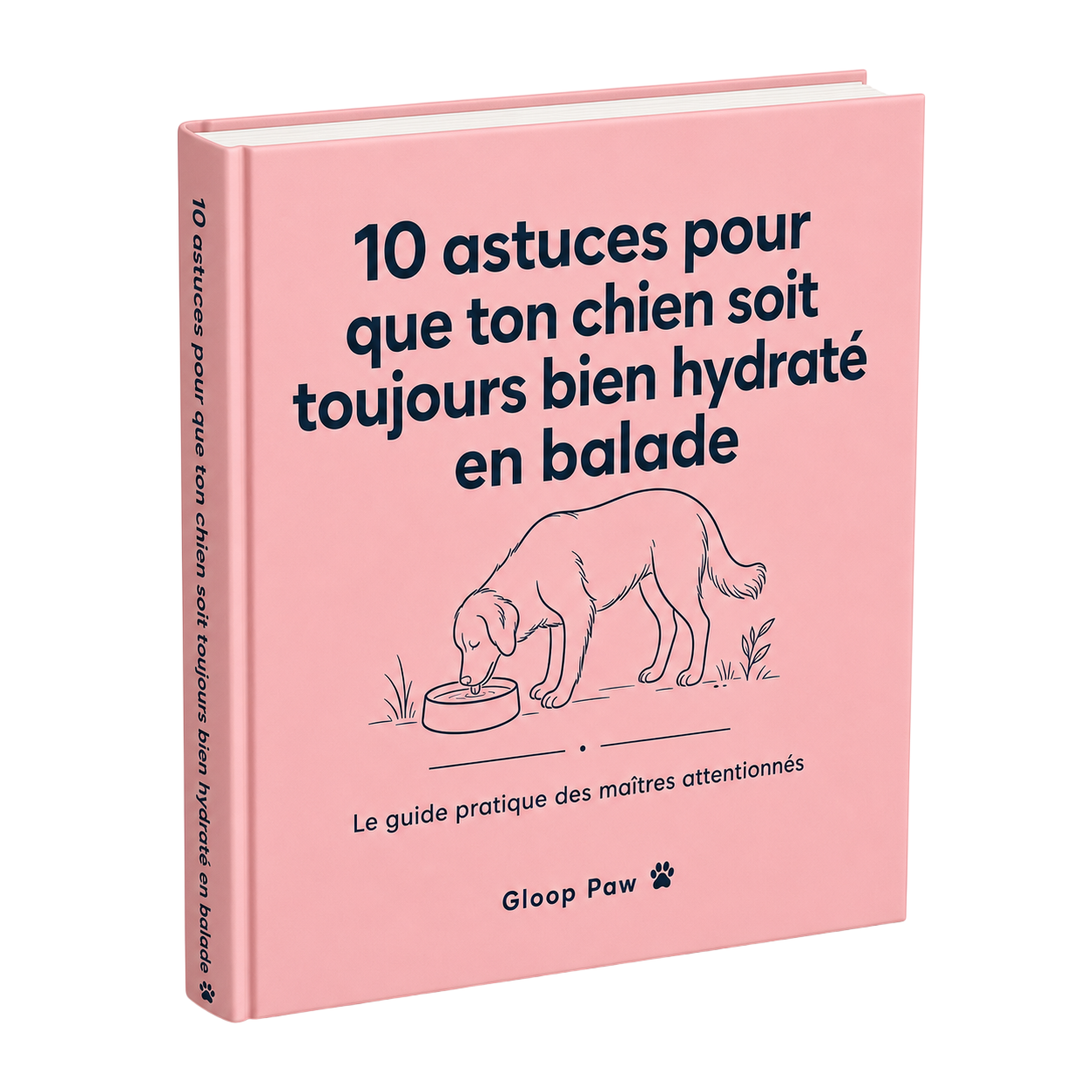 E-book : 10 astuces, chien hydraté en balade