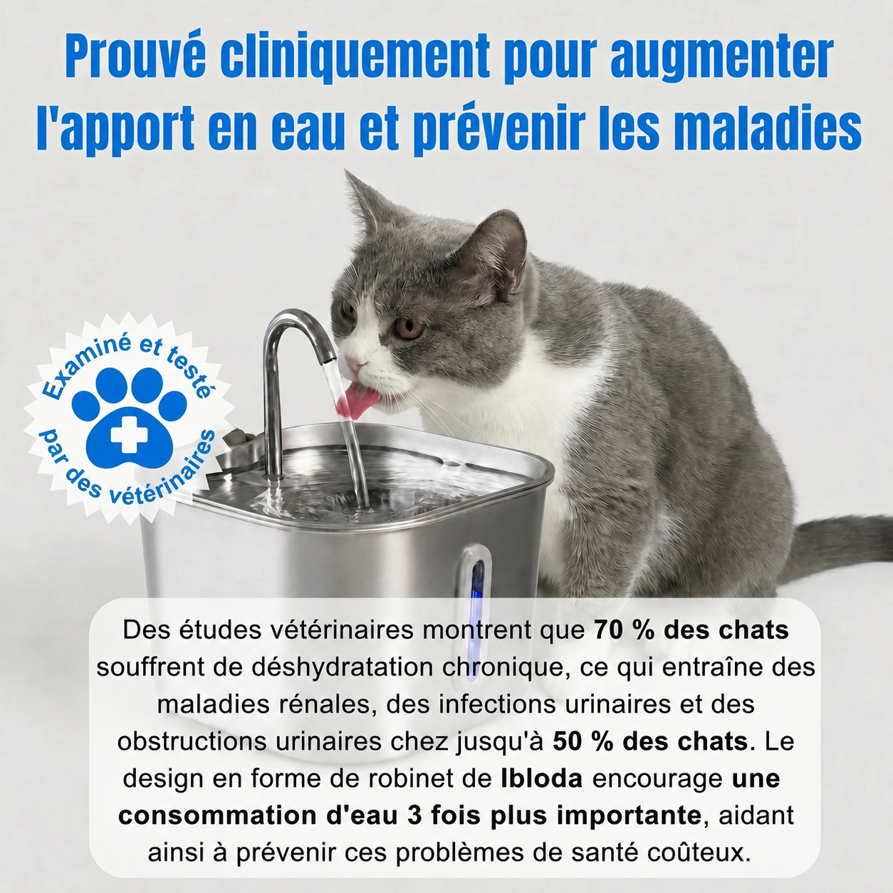 Fontaine à eau pour chat