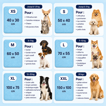 Le tapis qui garde votre chien au frais toute la journée