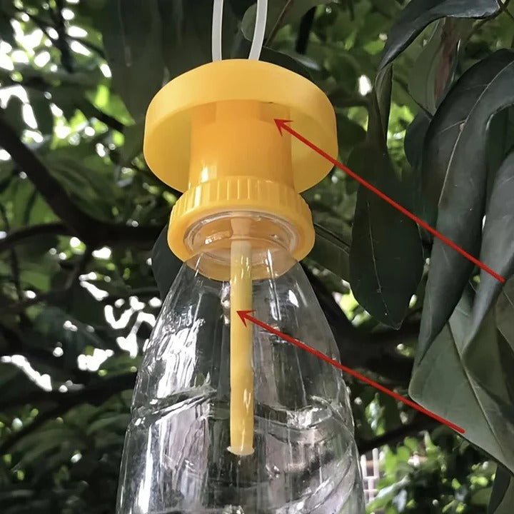 Fruit Fly Trap with Hanging Cover