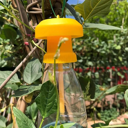 Fruit Fly Trap with Hanging Cover