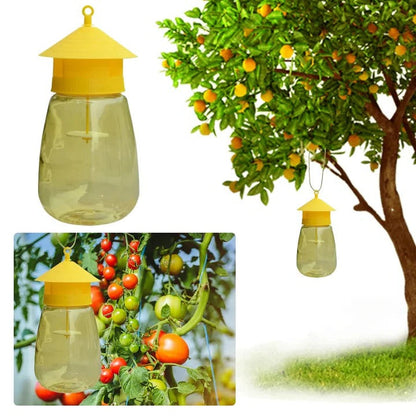 Hanging Fruit Fly Trap