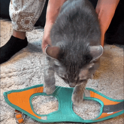 Harnais pour Chat 100% Anti-Fuite (+ Laisse Offerte)