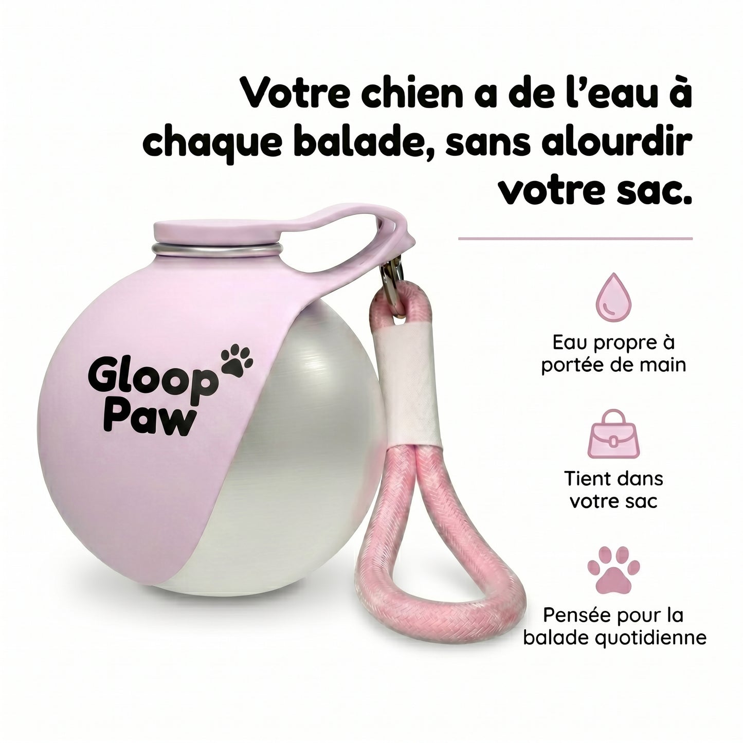 La gourde qui garde votre chien hydraté à chaque promenade