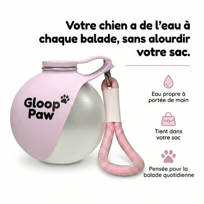 La gourde qui garde votre chien hydraté à chaque promenade