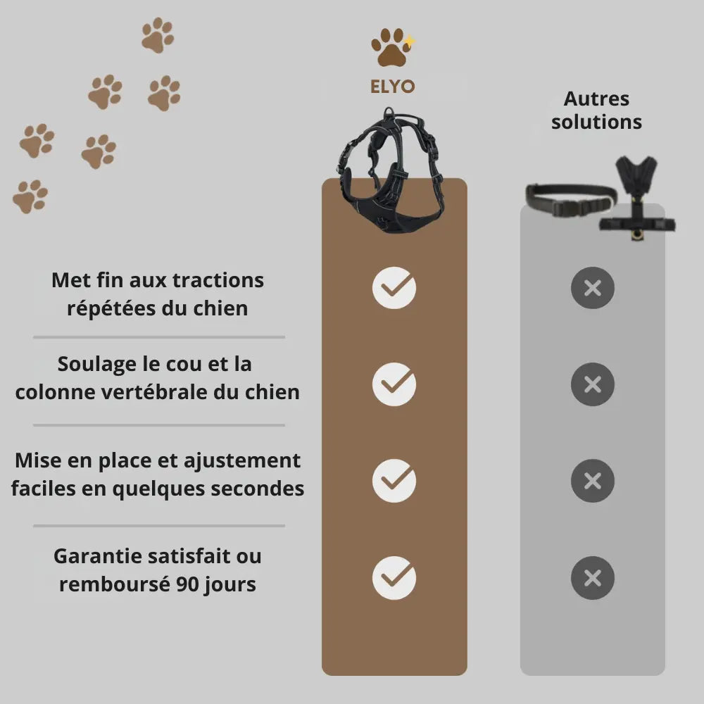 Le Harnais Anti-Traction pour des Balades Sereines