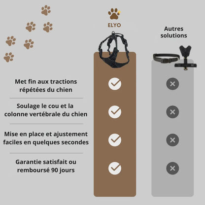 Le Harnais Anti-Traction pour des Balades Sereines
